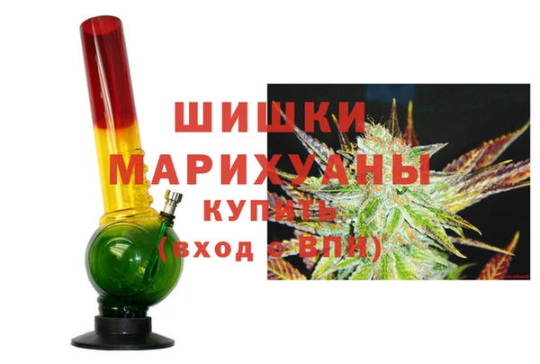хмурый Бородино