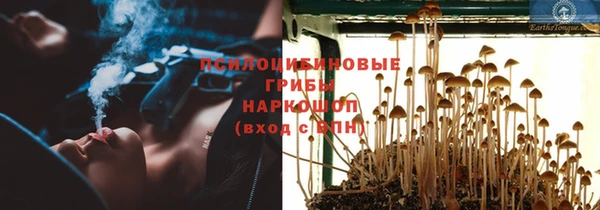 хмурый Бородино