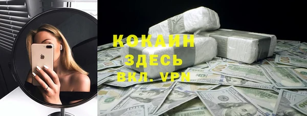 хмурый Бородино