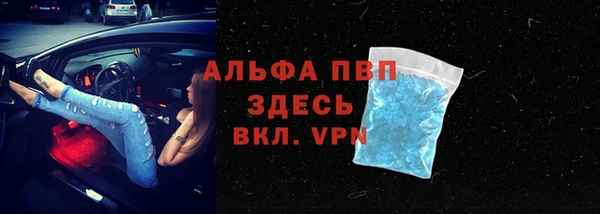 хмурый Бородино