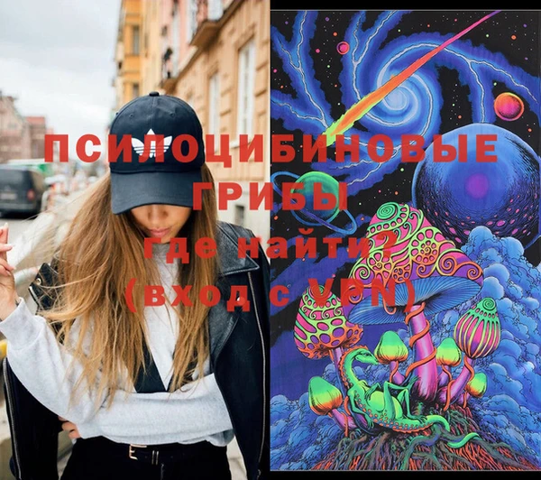 хмурый Бородино