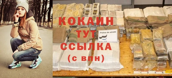хмурый Бородино
